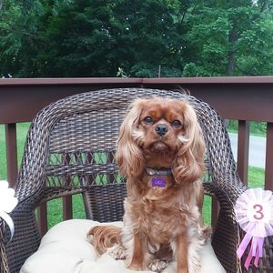 Meet your Posher, Florence